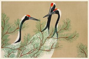 Obrazová reprodukcia Red Crown Cranes from Momoyogusa, Kamisaka Sekka