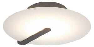 NÁSTENNÉ LED SVIETIDLO, 43,2/9,2 cm Elstead Lighting - Interiérové svietidlá