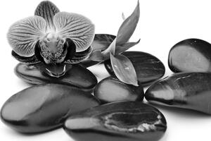 Obraz masážne wellness kamene v čiernobielom prevedení