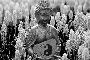 Obraz jin a jang Budha v čiernobielom prevedení