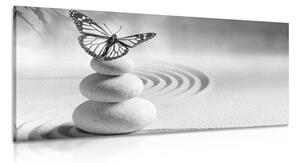 Obraz rovnováha kameňov a motýľ v čiernobielom prevedení
