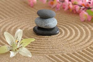 Obraz Zen záhrada a kamene v piesku