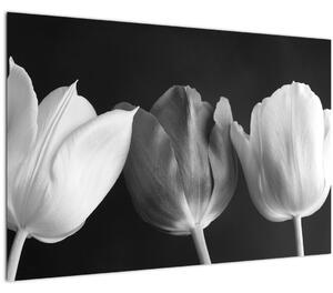 Obraz - Čiernobiele kvety tulipánov (90x60 cm)
