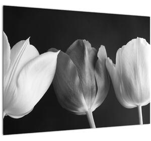 Obraz - Čiernobiele kvety tulipánov (70x50 cm)