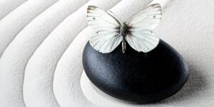 Obraz Zen kameň s motýľom