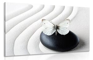 Obraz biely motýľ na čiernom kameni