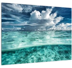 Sklenený obraz - Pohľad pod morskú hladinu (70x50 cm)