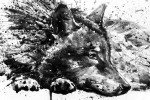 Obraz vlk v akvarelovom prevedení v čiernobielej farbe