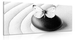 Obraz Zen kameň s motýľom v čiernobielom prevedení
