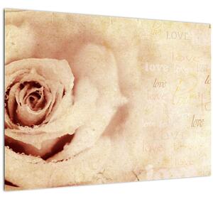 Obraz - Kvet ruže pre zaľúbených (70x50 cm)