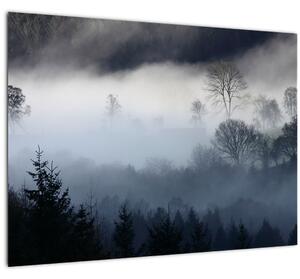 Obraz hmly nad lesom (70x50 cm)