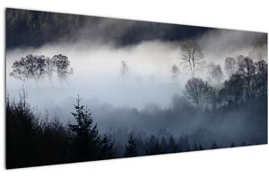 Obraz hmly nad lesom (120x50 cm)