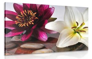 Obraz kvety v miske so Zen kameňmi