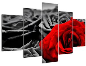 Obraz - Kvety ruží (150x105 cm)