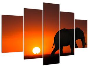 Obraz slona pri západe slnka (150x105 cm)