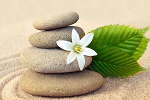 Obraz biely kvet a kamene v piesku
