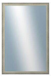 DANTIK - Zrkadlo v rámu, rozmer s rámom 40x60 cm z lišty DELFINO strieborná (2897)