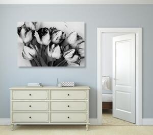 Obraz jarné tulipány v čiernobielom prevedení