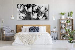 Obraz tulipány v jarnom nádychu v čiernobielom prevedení