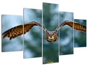 Obraz - Sova pri lete (150x105 cm)