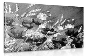 Obraz maľované poľné maky v čiernobielom prevedení