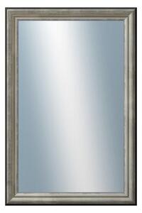 DANTIK - Zrkadlo v rámu, rozmer s rámom 40x60 cm z lišty Anversa strieborná (3152)