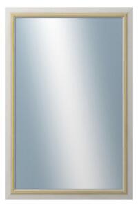 DANTIK - Zrkadlo v rámu, rozmer s rámom 40x60 cm z lišty RIVIERA Au (3100)