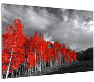 Obraz - Stromy vo farbe jesene (90x60 cm)