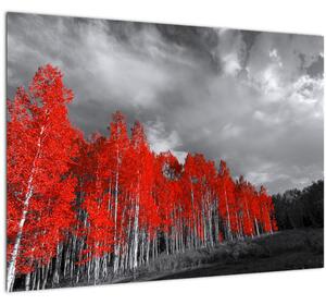 Obraz - Stromy vo farbe jesene (70x50 cm)