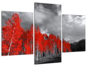 Obraz - Stromy vo farbe jesene (90x60 cm)