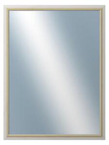 DANTIK - Zrkadlo v rámu, rozmer s rámom 60x80 cm z lišty RIVIERA Au (3100)