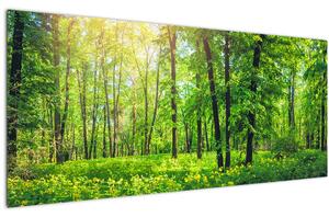 Obraz - Jarný listnatý les (120x50 cm)