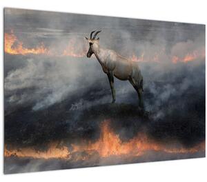 Obraz kamzíka v ohni (90x60 cm)