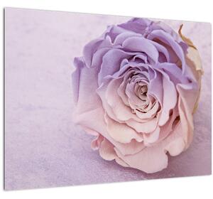 Obraz detailu kvetu ruže (70x50 cm)