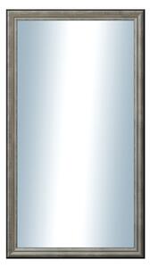 DANTIK - Zrkadlo v rámu, rozmer s rámom 50x90 cm z lišty Anversa strieborná (3152)