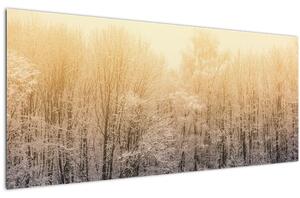 Obraz mrazivého lesa (120x50 cm)