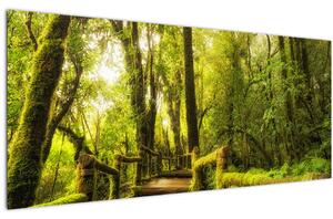 Obraz machové džungle (120x50 cm)