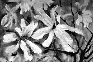 Obraz rozkvitnutý akvarelový strom v čiernobielom prevedení