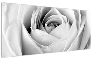 Obraz - Detail kvetu ruže (120x50 cm)