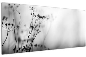 Obraz - Detail lúčnych kvetov (120x50 cm)