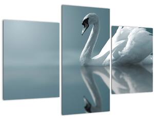 Obraz - Biela labuť (90x60 cm)
