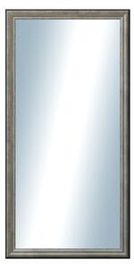 DANTIK - Zrkadlo v rámu, rozmer s rámom 50x100 cm z lišty Anversa strieborná (3152)