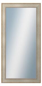 DANTIK - Zrkadlo v rámu, rozmer s rámom 60x120 cm z lišty TOOTH strieborná (2779)