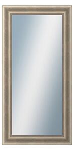 DANTIK - Zrkadlo v rámu, rozmer s rámom 60x120 cm z lišty KŘÍDLO veľké (2773)