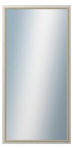 DANTIK - Zrkadlo v rámu, rozmer s rámom 60x120 cm z lišty RIVIERA Au (3100)