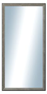 DANTIK - Zrkadlo v rámu, rozmer s rámom 60x120 cm z lišty Anversa strieborná (3152)
