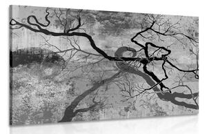 Obraz surrealistické stromy v čiernobielom prevedení