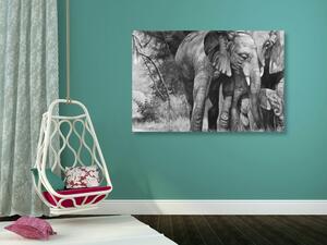 Obraz slonia rodinka v čiernobielom prevedení