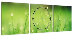 Obraz - rosa na tráve (s hodinami) (90x30 cm)