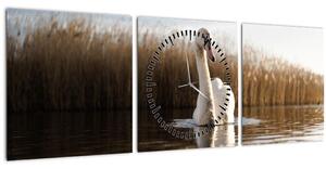 Obraz labute (s hodinami) (90x30 cm)